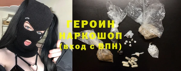 гашик Алексин