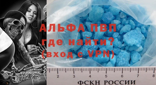 гашик Алексин