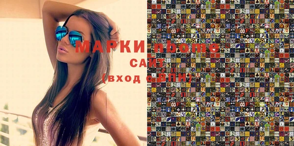 гашик Алексин