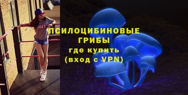 гашик Алексин