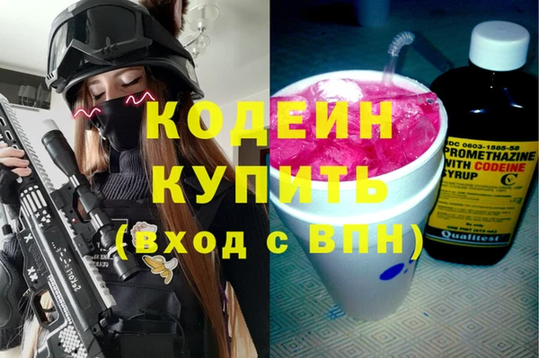 гашик Алексин